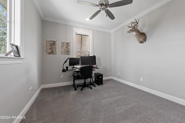 carpeted office space featuring ceiling fan, ornamental molding, and a wealth of natural light