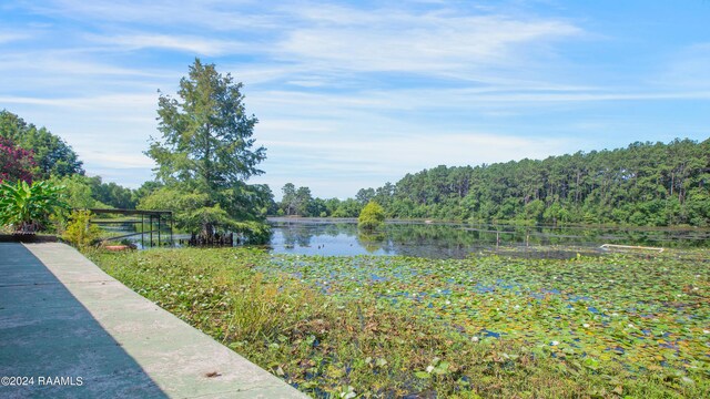 432 Plant Rd, Egan, LA 70531 - photo 31