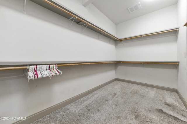 walk in closet with carpet