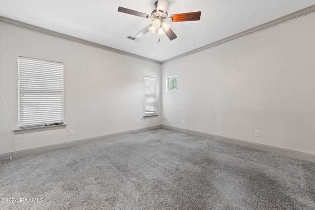 spare room featuring crown molding, ceiling fan, and carpet floors