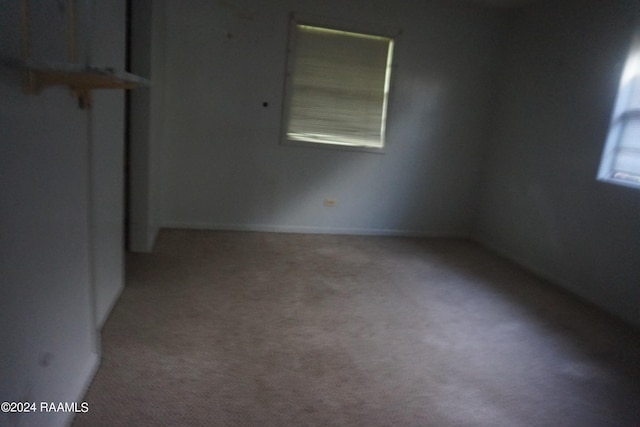 spare room featuring light colored carpet