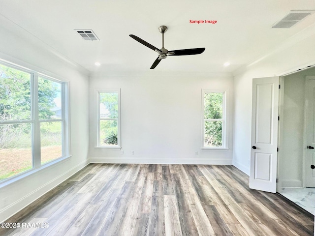 unfurnished room featuring wood-type flooring and ceiling fan