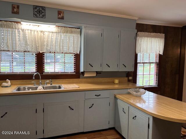 kitchen featuring white cabinets, a healthy amount of sunlight, sink, and dark hardwood / wood-style flooring