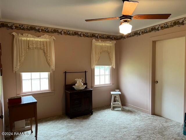 interior space with ceiling fan, ornamental molding, and carpet floors