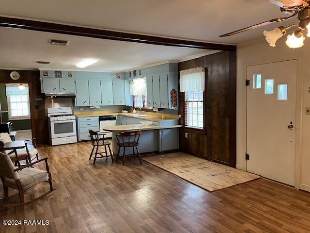 kitchen featuring white appliances, dark hardwood / wood-style floors, a healthy amount of sunlight, and kitchen peninsula