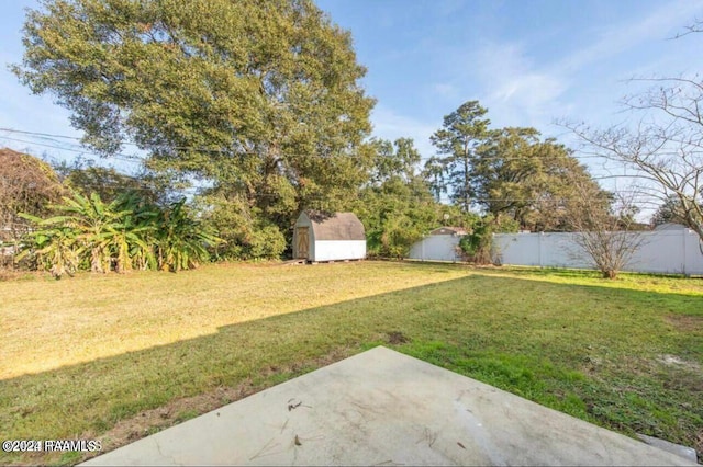 view of yard featuring a patio area and a storage shed