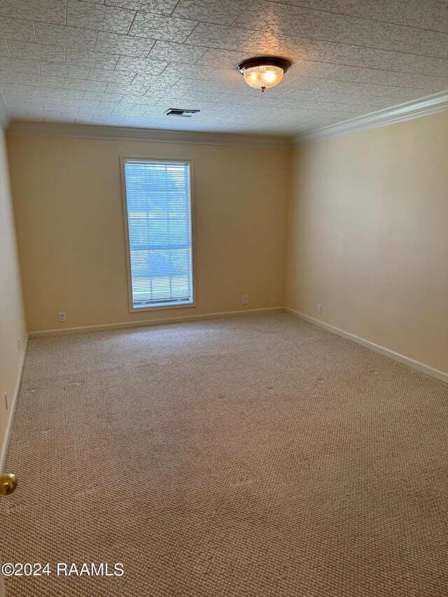 carpeted empty room with a textured ceiling and crown molding