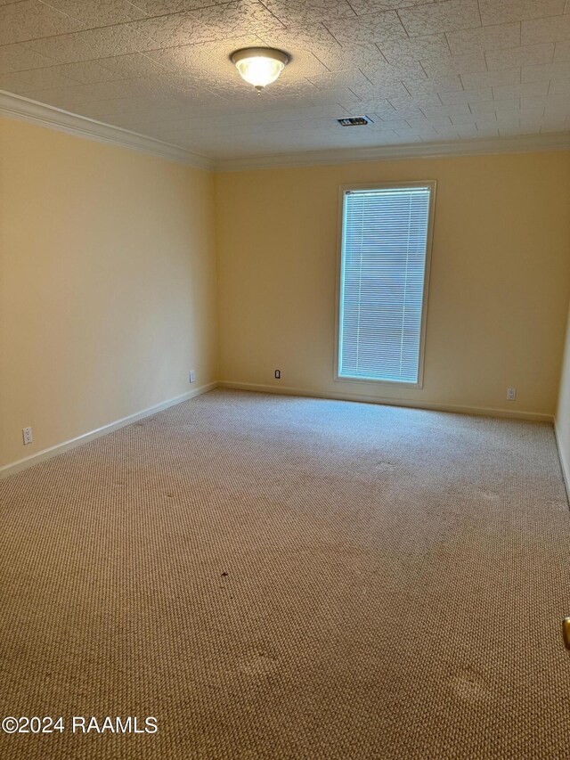 spare room featuring carpet flooring and ornamental molding