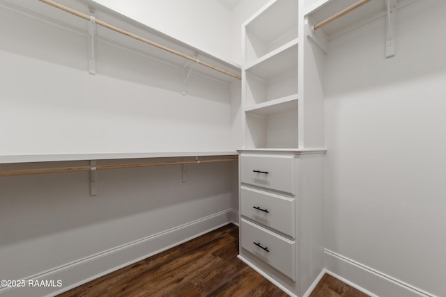 walk in closet with dark wood-style floors