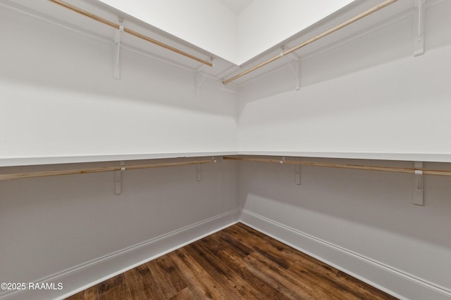 spacious closet featuring dark wood-type flooring