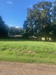 1020 S Shireview Cir, Abbeville, LA 70510 - photo 2