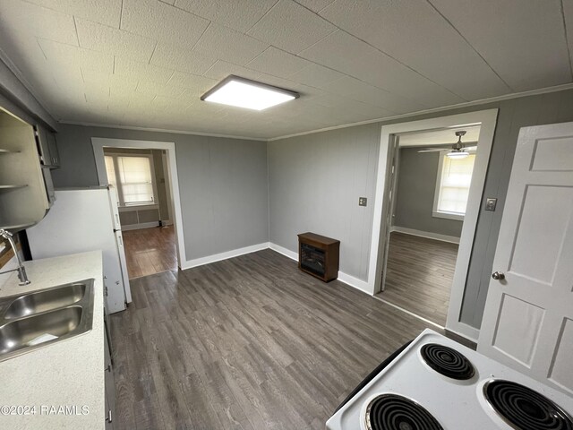 kitchen featuring dark wood-type flooring, a healthy amount of sunlight, and sink