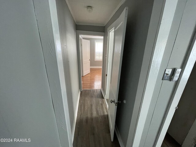 corridor with crown molding and dark hardwood / wood-style flooring