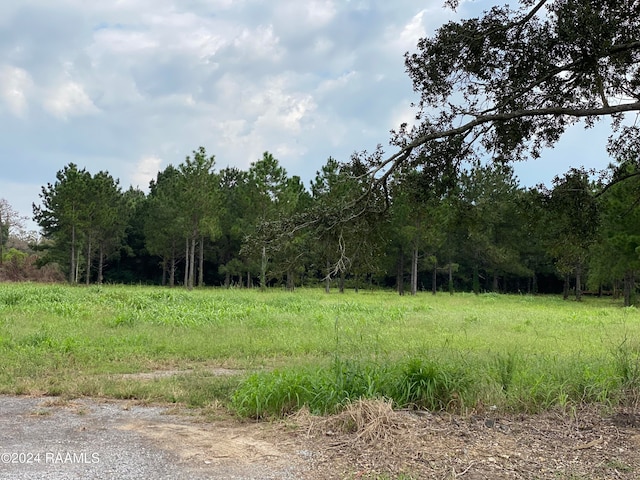 0 Mccarthy Ln, Opelousas LA, 70570 land for sale