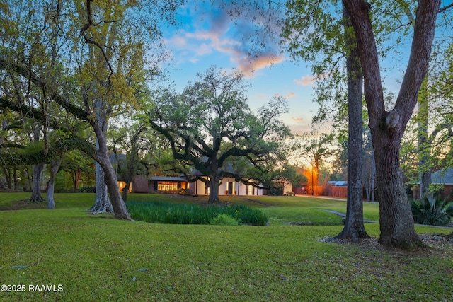 5304 Shoreline Dr, New Iberia, LA 70563 - photo 33