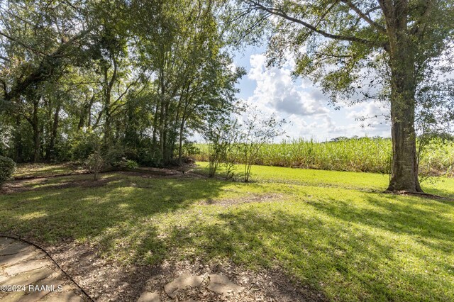 106 Briarwood Dr, Franklin, LA 70538 - photo 9