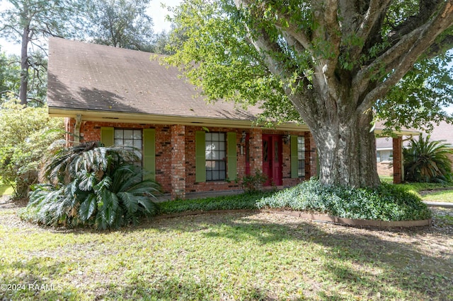 view of front of home featuring a front yard