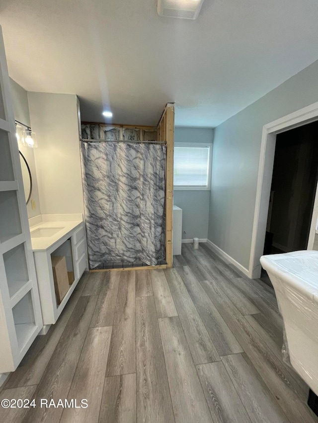 bathroom featuring wood-type flooring, a shower with curtain, and vanity