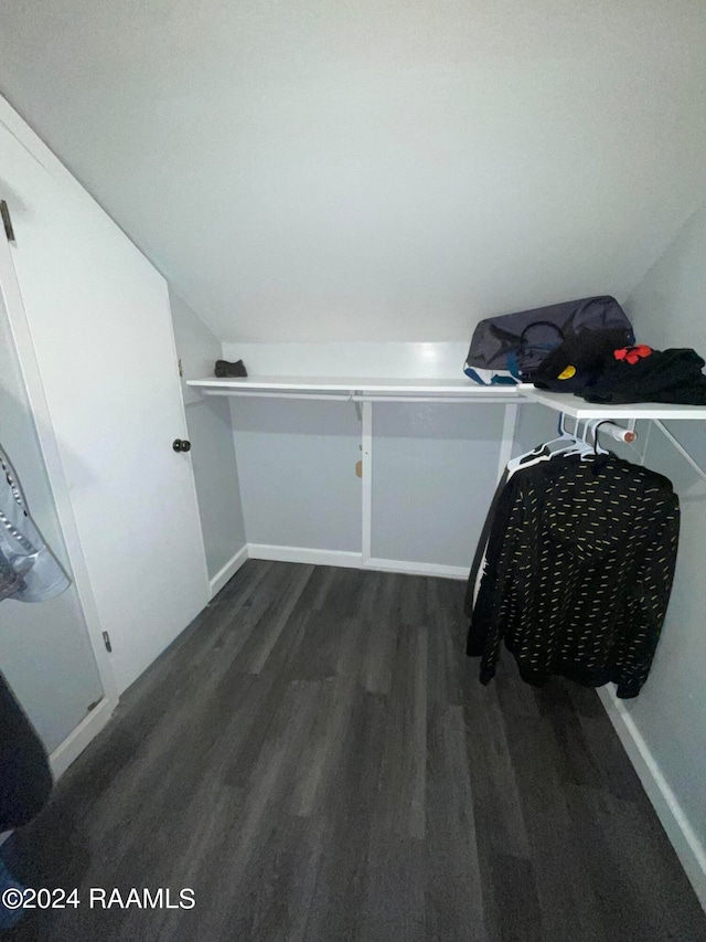 spacious closet with vaulted ceiling and dark wood-type flooring