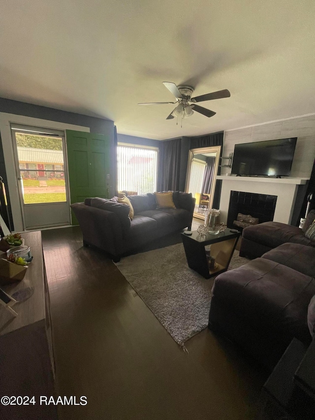 living room with ceiling fan and hardwood / wood-style flooring