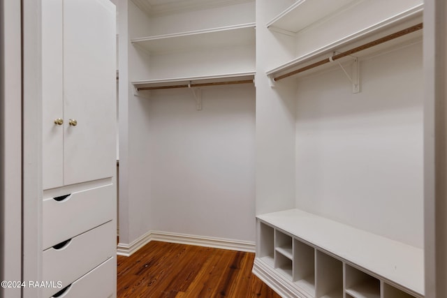 spacious closet with dark hardwood / wood-style flooring