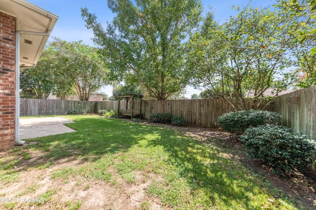 view of yard with a patio area