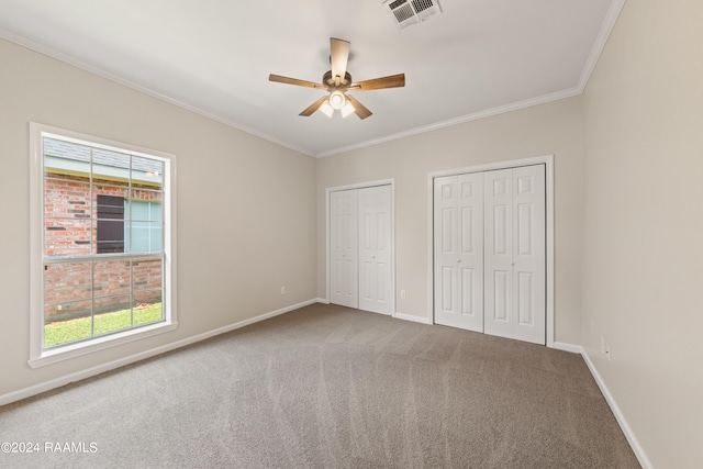 unfurnished bedroom featuring ceiling fan, multiple closets, ornamental molding, and carpet