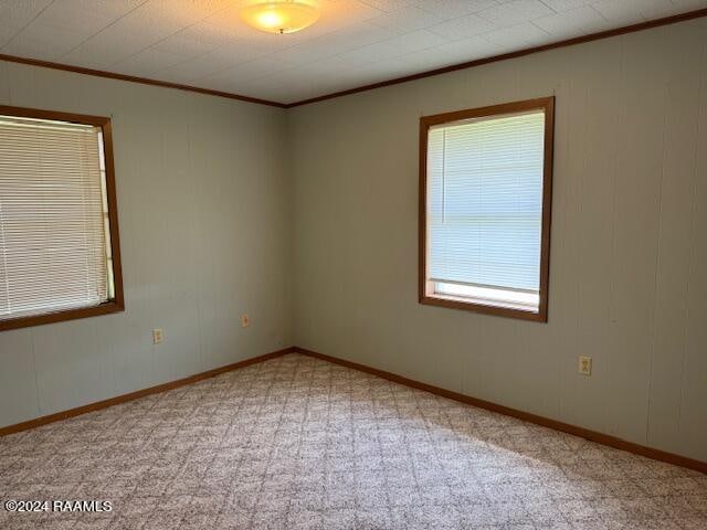 empty room with crown molding, light colored carpet, and plenty of natural light