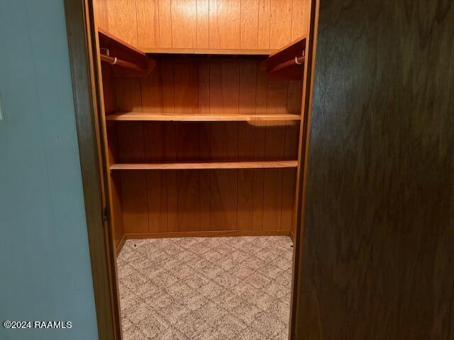 spacious closet with light carpet