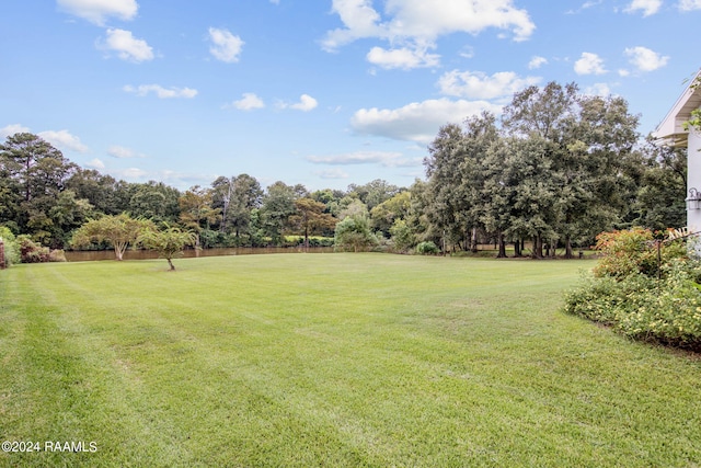 110 River Wood Pl, Abbeville, LA 70510 - view of grassy yard featuring view of scattered trees