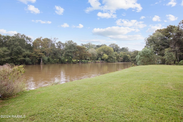 110 River Wood Pl, Abbeville, LA 70510 - water view with a forest