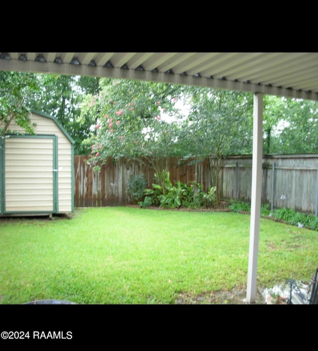 view of yard with a storage unit