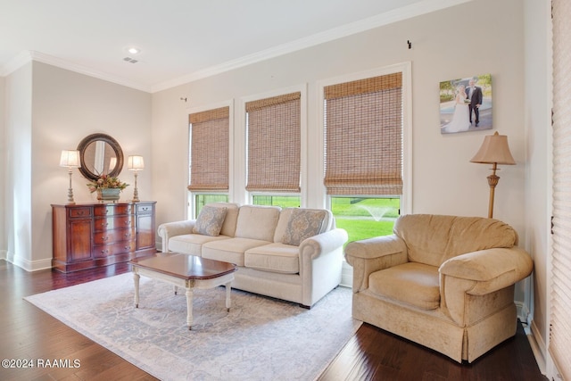 living room with dark hardwood / wood-style floors and ornamental molding