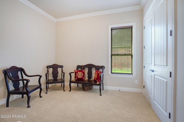 living area featuring light colored carpet and ornamental molding