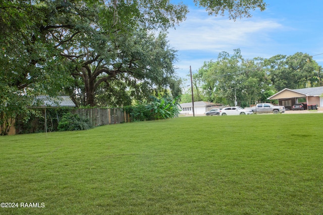 view of yard