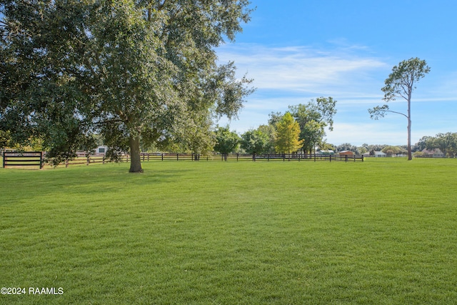 view of yard with a rural view