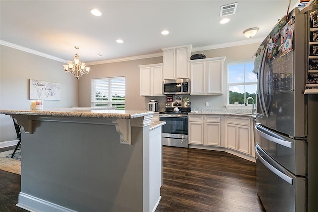 kitchen featuring appliances with stainless steel finishes, dark wood-type flooring, plenty of natural light, and visible vents