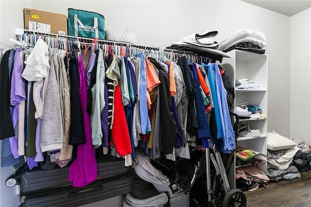 walk in closet featuring wood finished floors