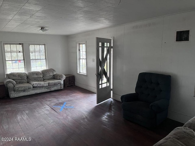 living room with dark hardwood / wood-style flooring