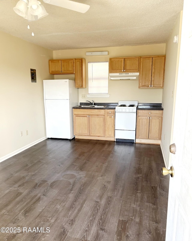 kitchen featuring sink, a textured ceiling, white appliances, ceiling fan, and dark hardwood / wood-style floors