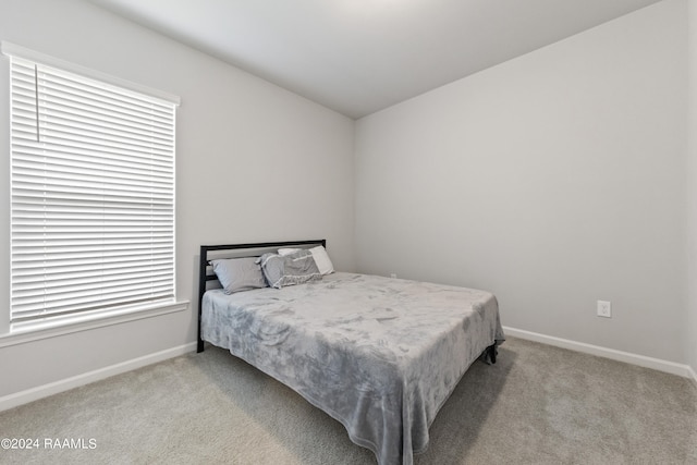 bedroom with multiple windows and light colored carpet