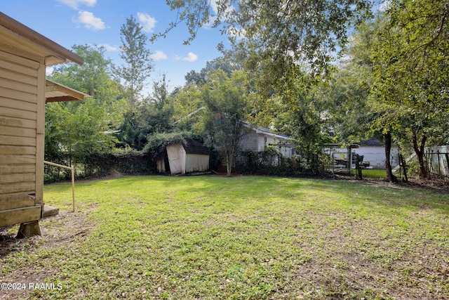 view of yard with a shed