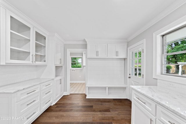 kitchen with decorative backsplash, white cabinetry, dark hardwood / wood-style flooring, and a wealth of natural light