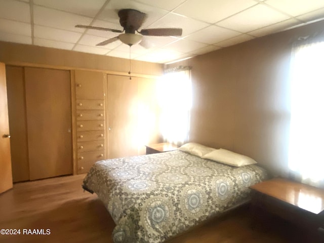 bedroom featuring ceiling fan, hardwood / wood-style flooring, and a paneled ceiling