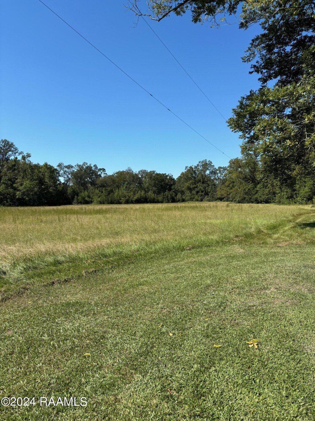 000 Prayer House Rd, Washington, LA 70589 - photo 2