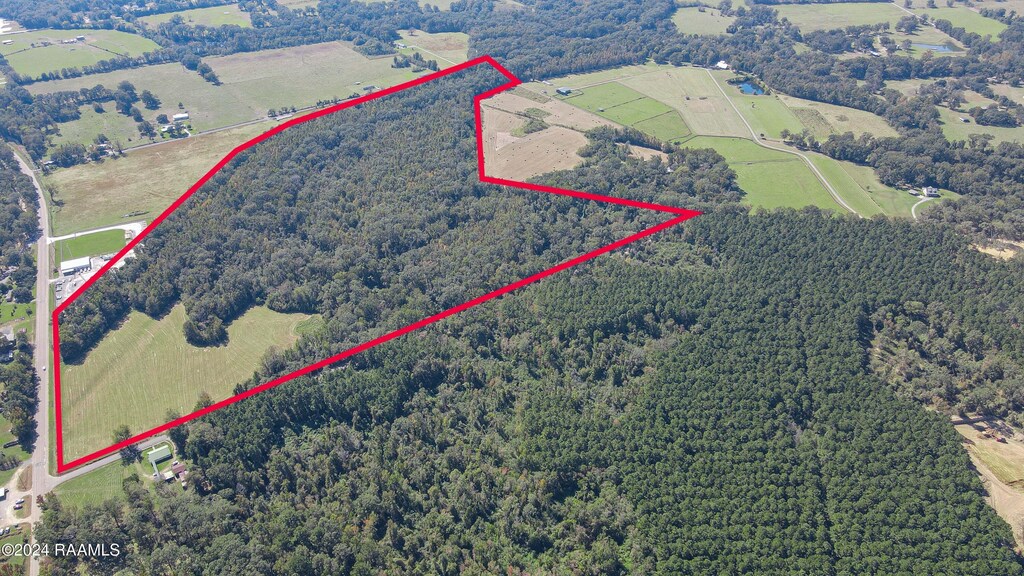 000 Prayer House Rd, Washington, LA 70589 - photo 4