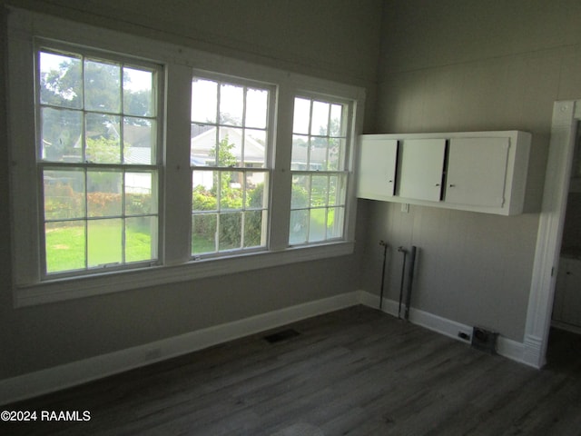 washroom featuring cabinets, a healthy amount of sunlight, and dark hardwood / wood-style flooring