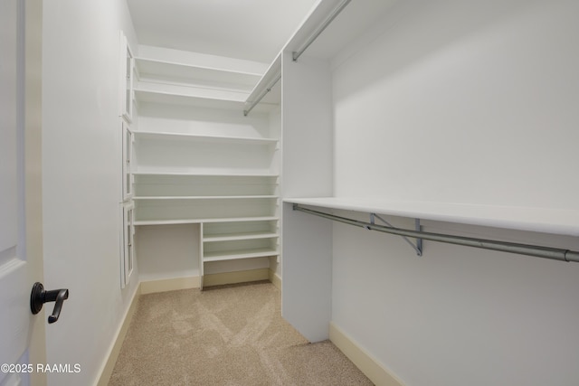 spacious closet featuring light colored carpet