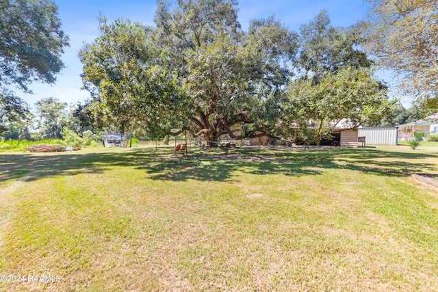 view of yard featuring a storage shed