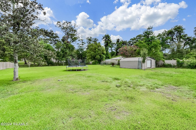 view of yard with a trampoline and a shed